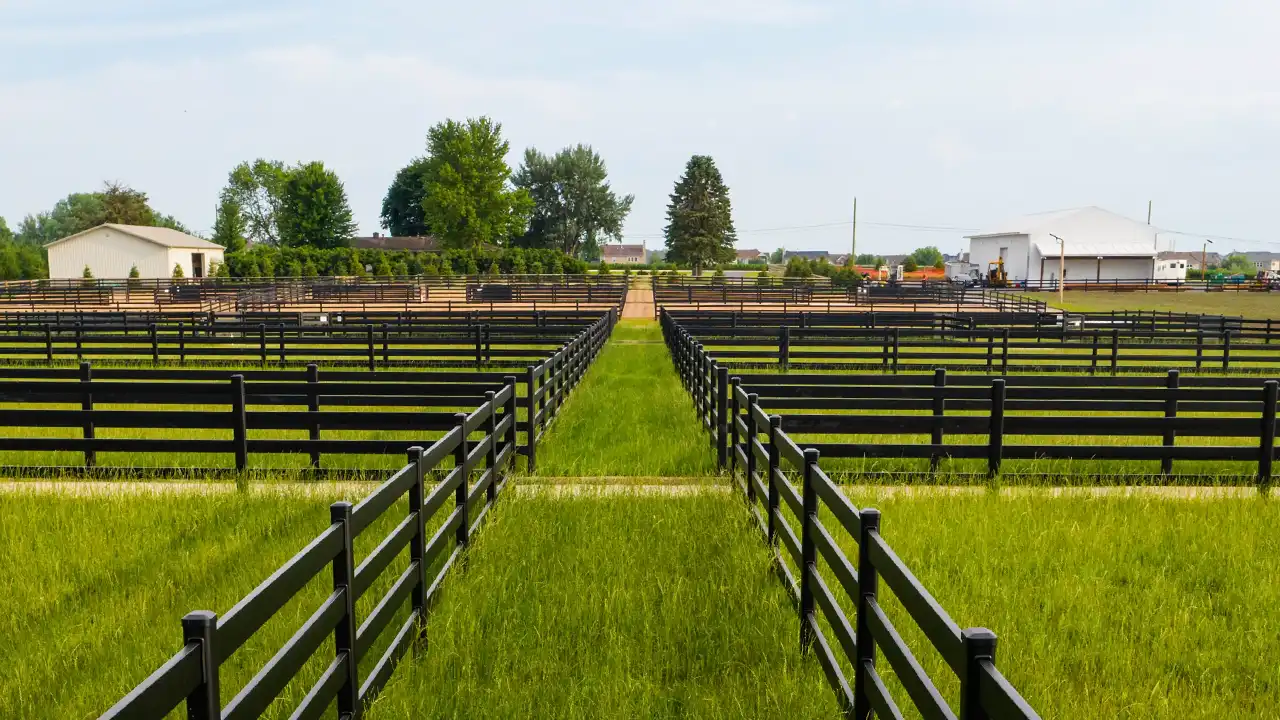 steel-board-fence